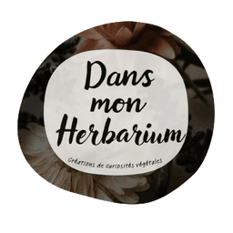 Dans mon Herbarium - Création de tableaux végétaux 
